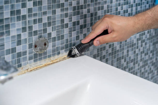 Best Mold Damage Repair  in Beachwood, OH